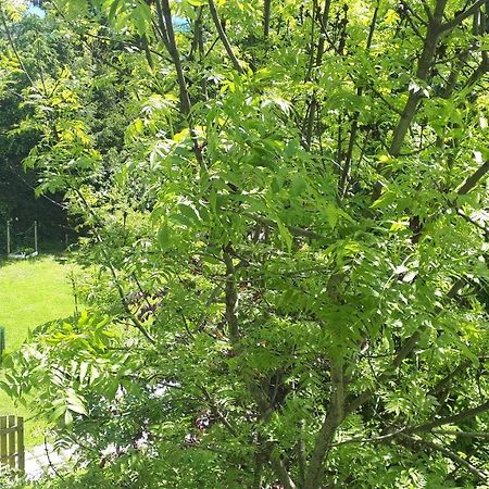 Apartment Orlitsch Klagenfurt am Woerthersee Eksteriør bilde